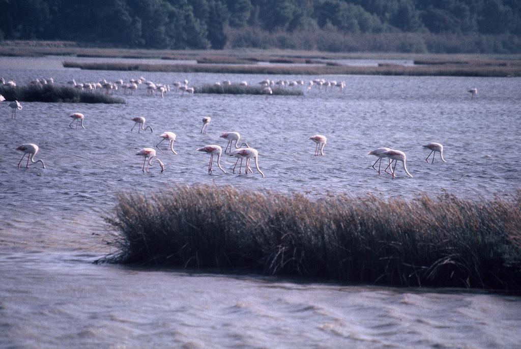 Fisherman'S View باجيس المظهر الخارجي الصورة